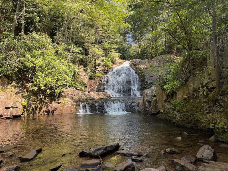 Hickory Run State Park, Hawk Falls Trail, Albrightsville, PA