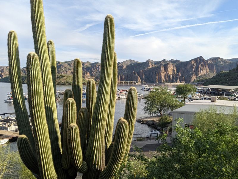 Saguaro Lake Grill At Saguaro Lake Marina — Mesa