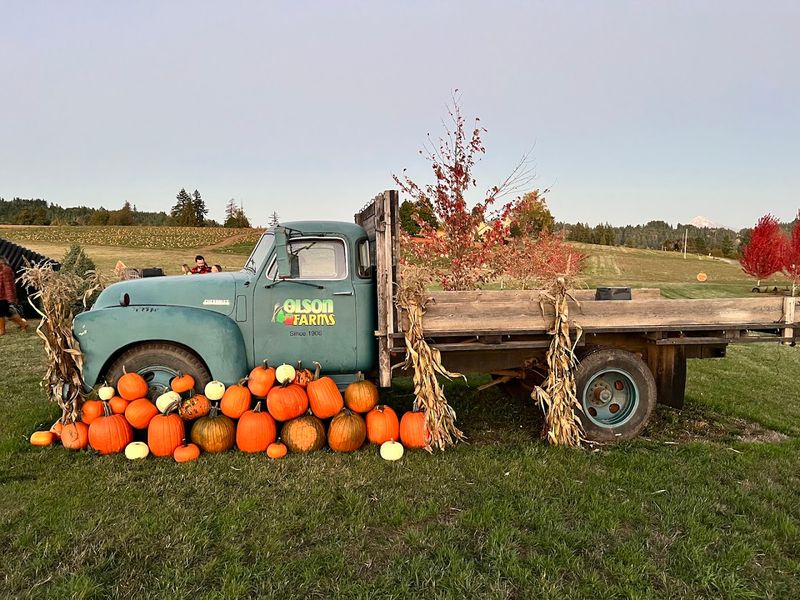 Olson Farms Olson Farms
