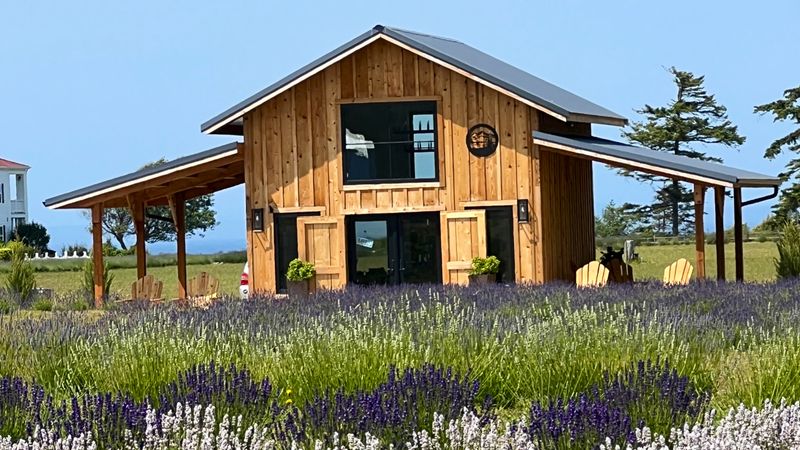 Olympic Bluffs Cidery & Lavender Farm, Port Angeles, WA
