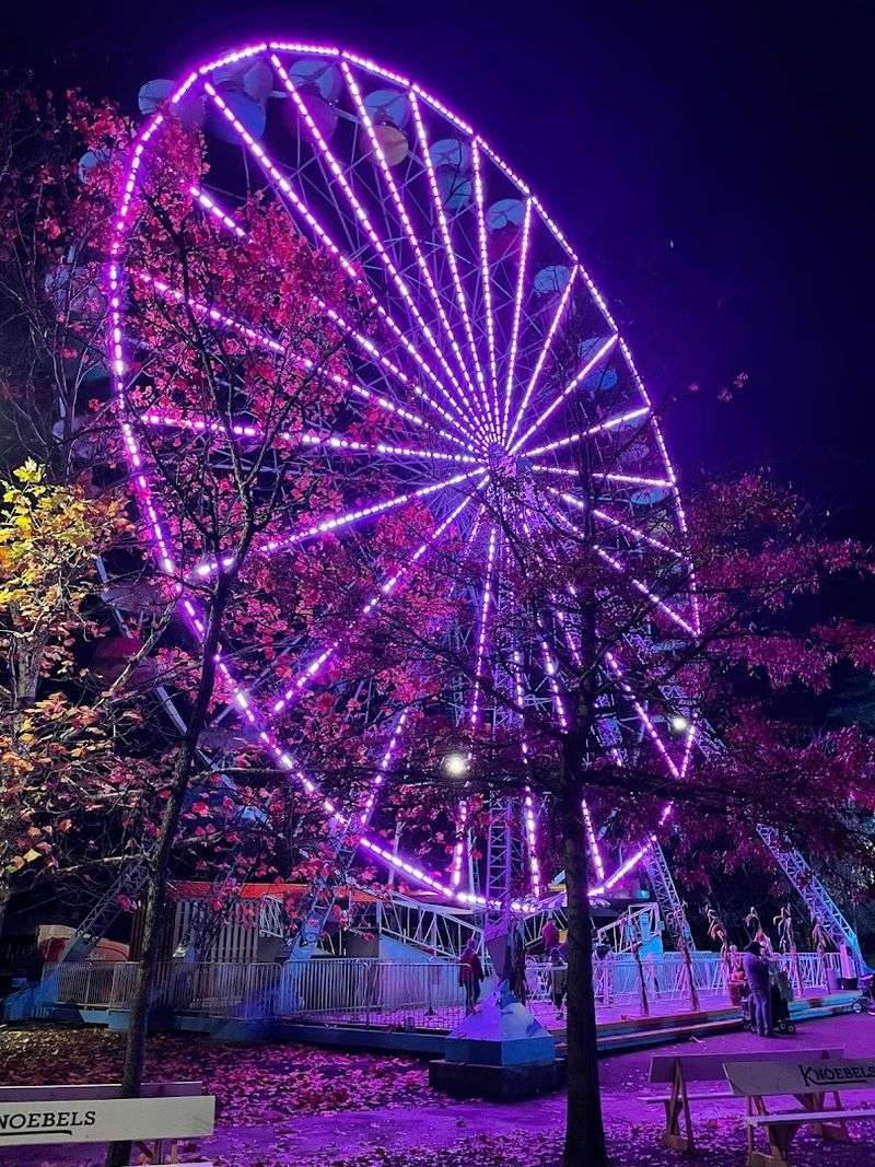 Halloween Celebrations and Seasonal Events