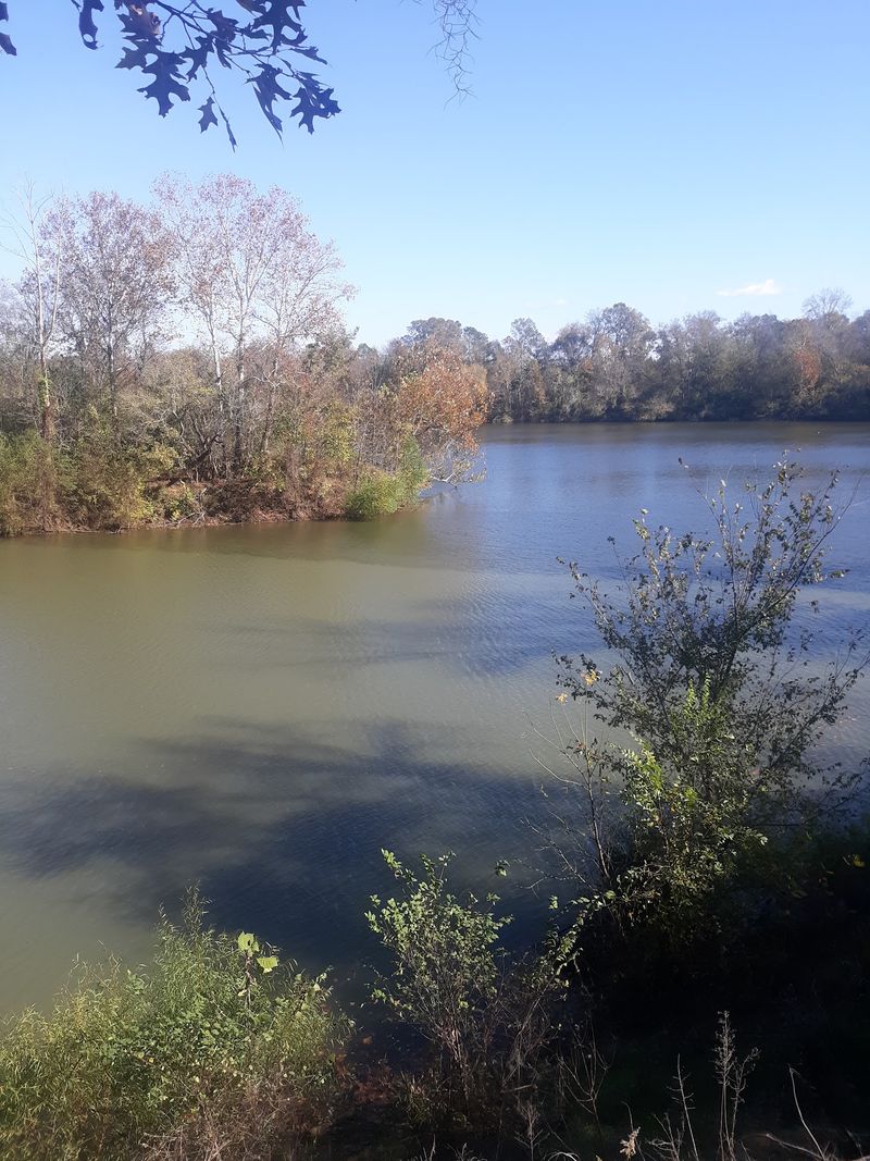 One Big Flood Started The Slow Fade To Ghost Town