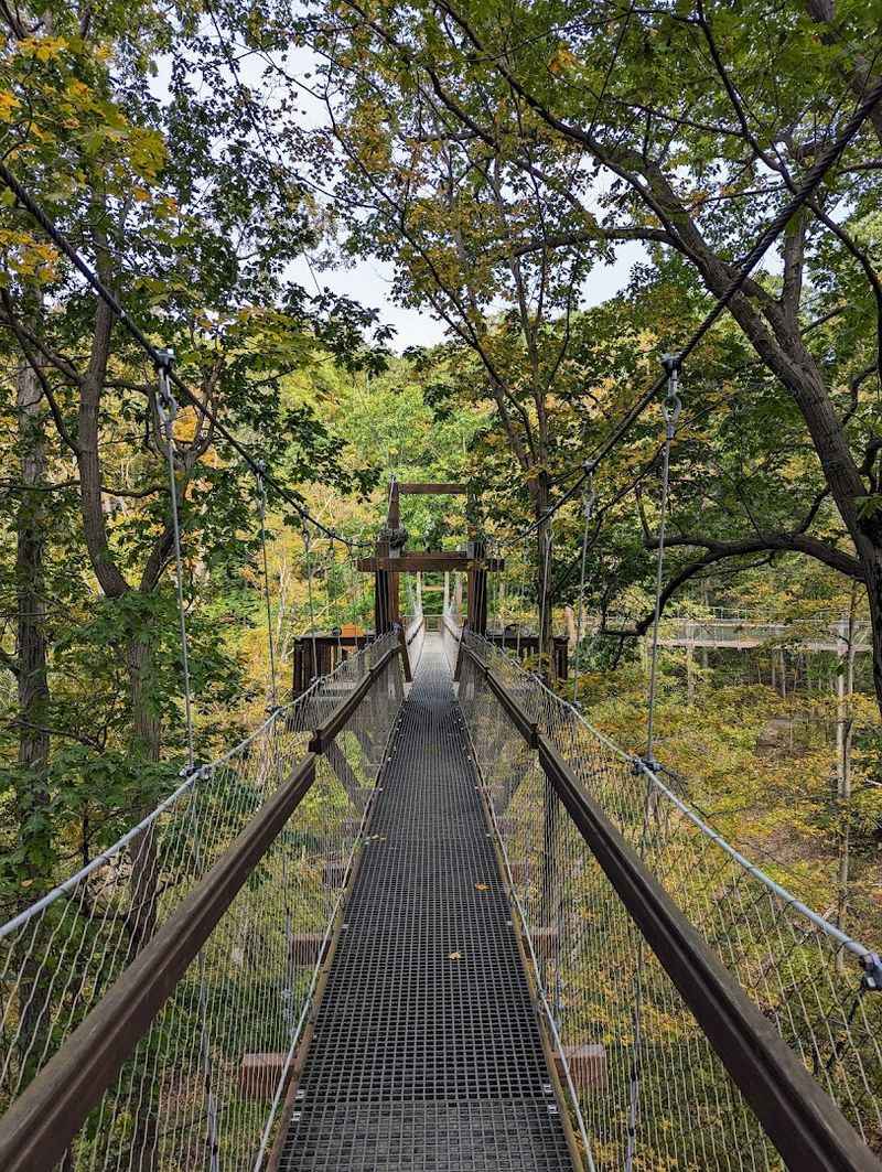Welcome to the Canopy Walk at Holden Arboretum