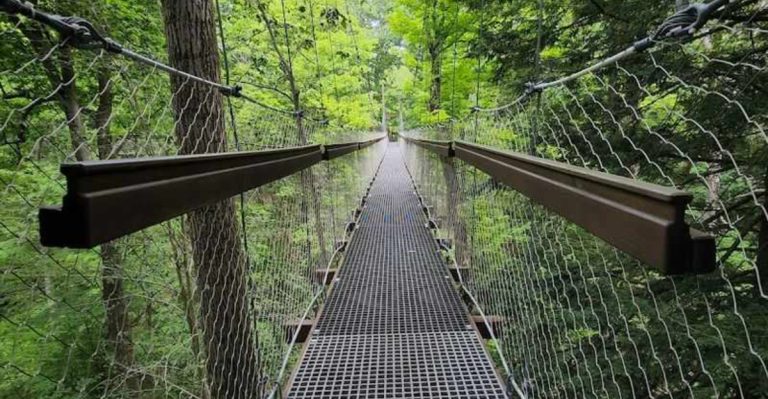 One Breathtaking Ohio Nature Spot Takes You High Among The Treetops For A Once-In-A-Lifetime Experience