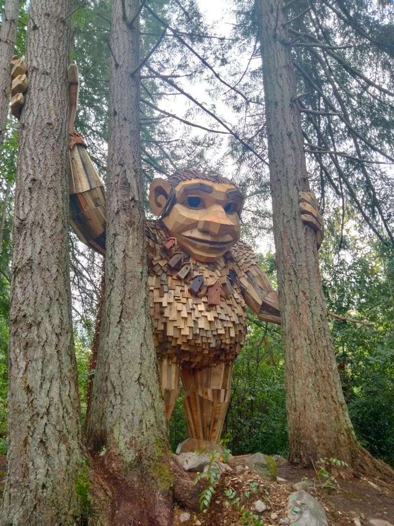 One Chapter In A Region-Wide Troll Adventure