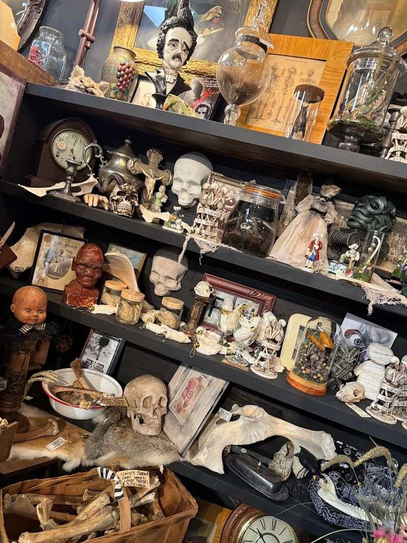 One Cool Shop, Jacksonville