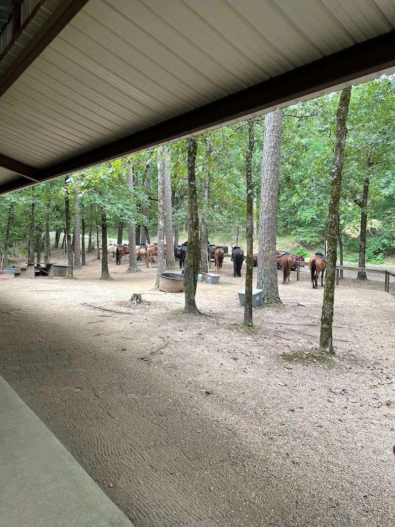 Easy Check In Process With On Site Staff Assistance