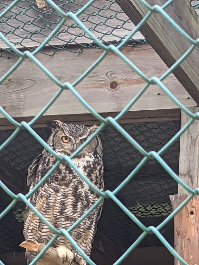 One Indoor Exhibit Visitors Never Expect