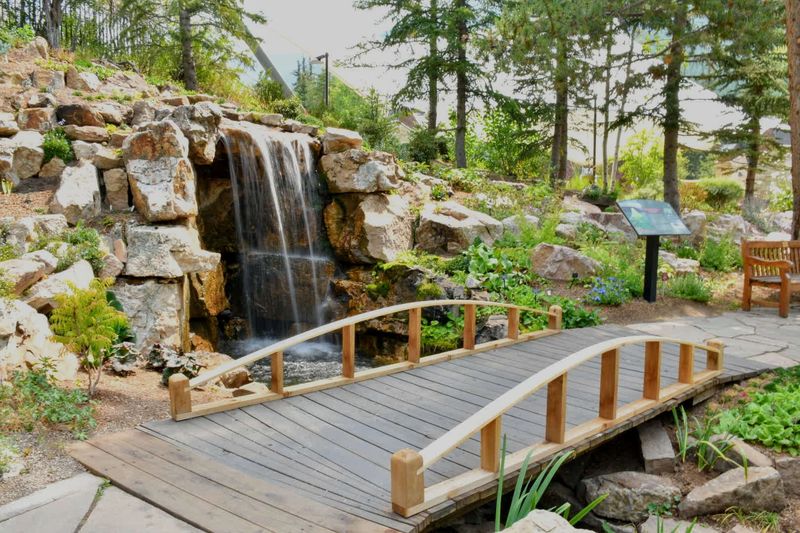 Beauty At The Top Of The World