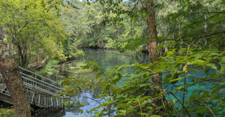 One Of Florida’s Oldest Natural Springs Reveals A Boardwalk, Caves, And Manatee Encounters