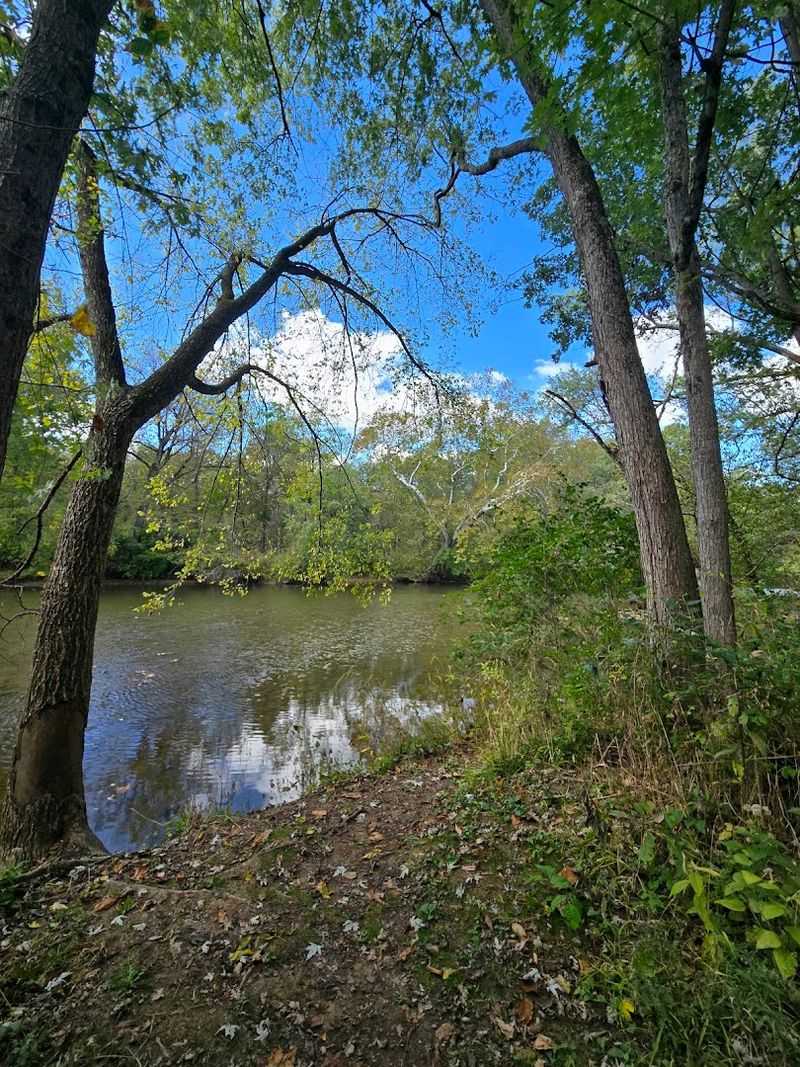 The Tallgrass Prairie Restoration That Feels Like Another World
