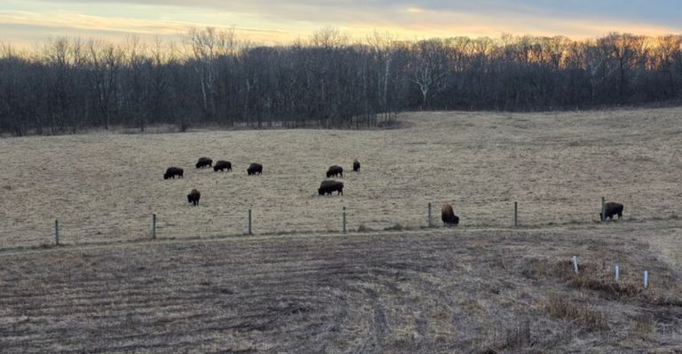 One Of Ohio’s Biggest Metro Park Offers Miles Of Untouched Wilderness To Explore