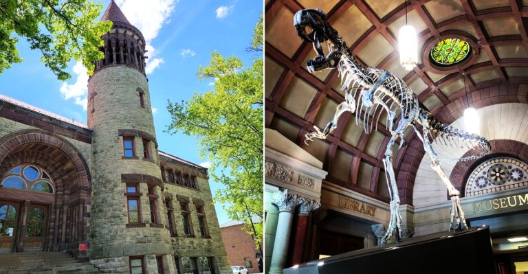 One Of Ohio’s Oldest Museums Is Free And Filled With Ancient Wonders