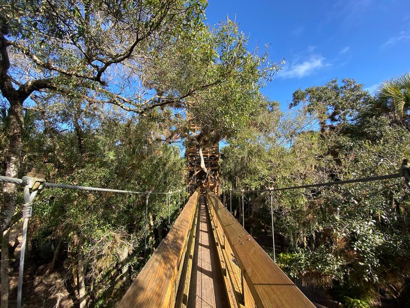 One Of Only A Few Canopy Walks Worldwide