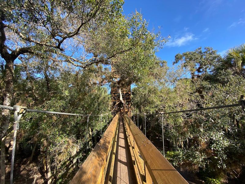 One Of Only A Few Dozen Canopy Walkways In The World