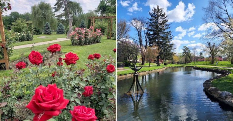 One Of Pennsylvania’s Most Beautiful Rose Gardens Is Hiding In Plain Sight