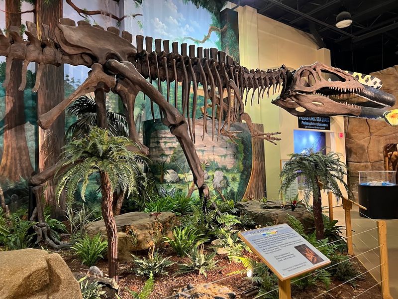 One Of The Largest Private Dinosaur Fossil Collections On Earth