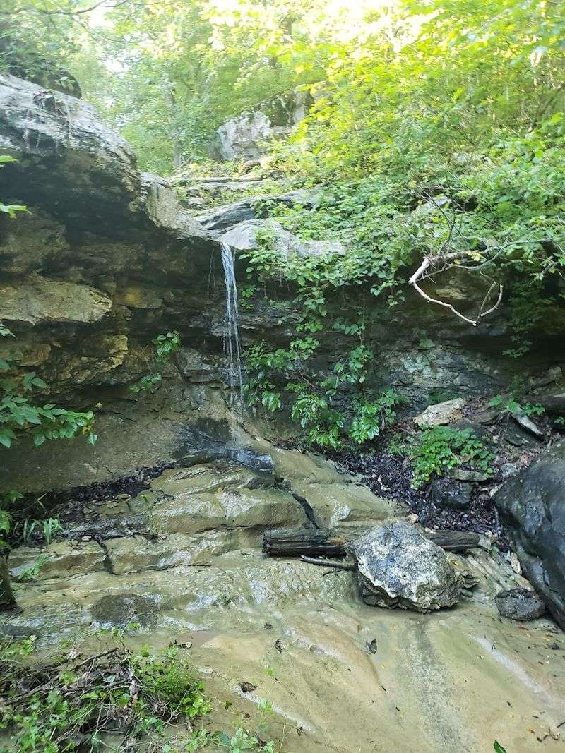 Where This Short Arkansas Hike Is Located