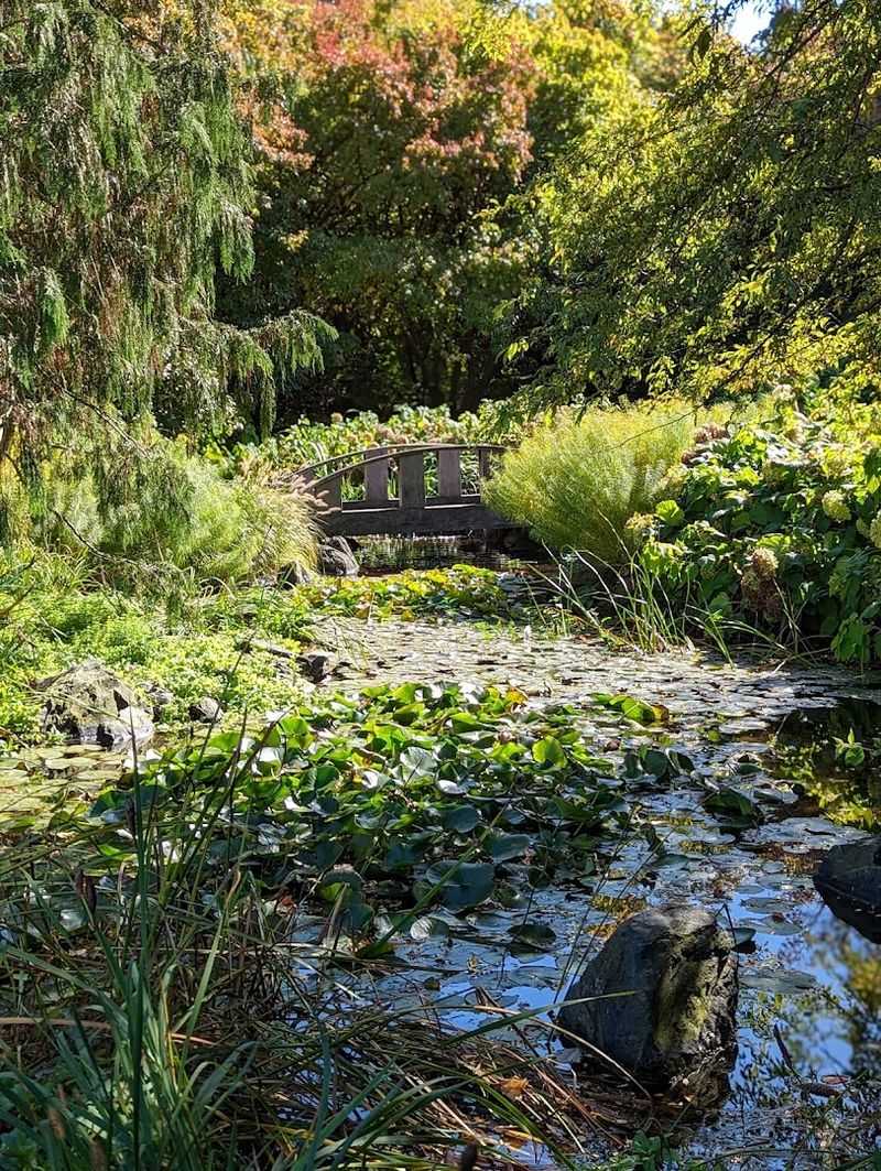 155 Acres Of Pure Green Wonder