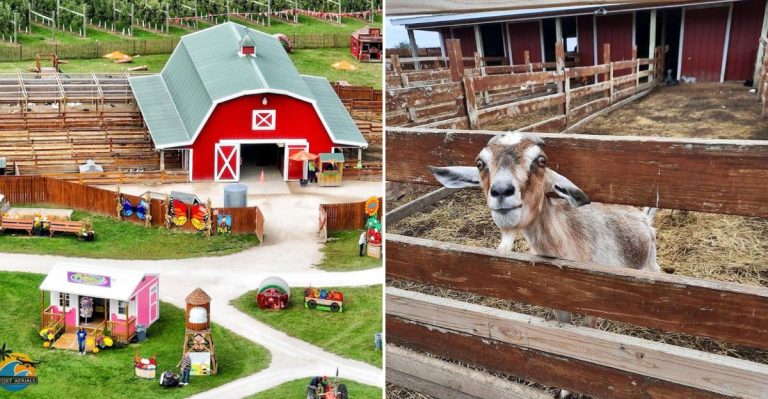 One Of The Most Wholesome Easter Experiences In The Midwest Happens In Illinois