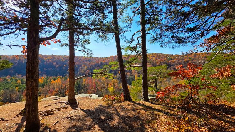 One Of The Ozarks' Most Peaceful Vistas
