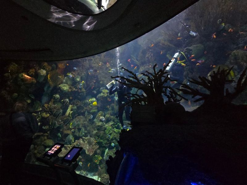 The Famous Caribbean Reef Exhibit