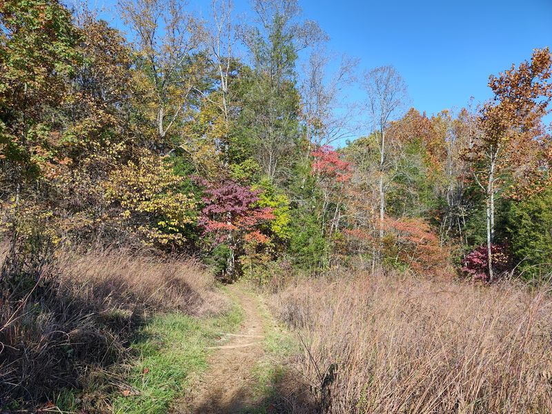 One Trail Down, Plenty More Wild Ground to Explore