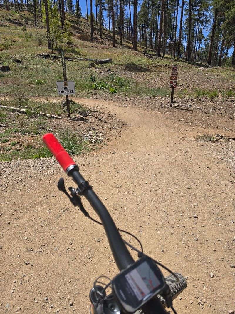 One-Way Trails That Keep Everyone Moving One-Way Trails That Keep Everyone Moving