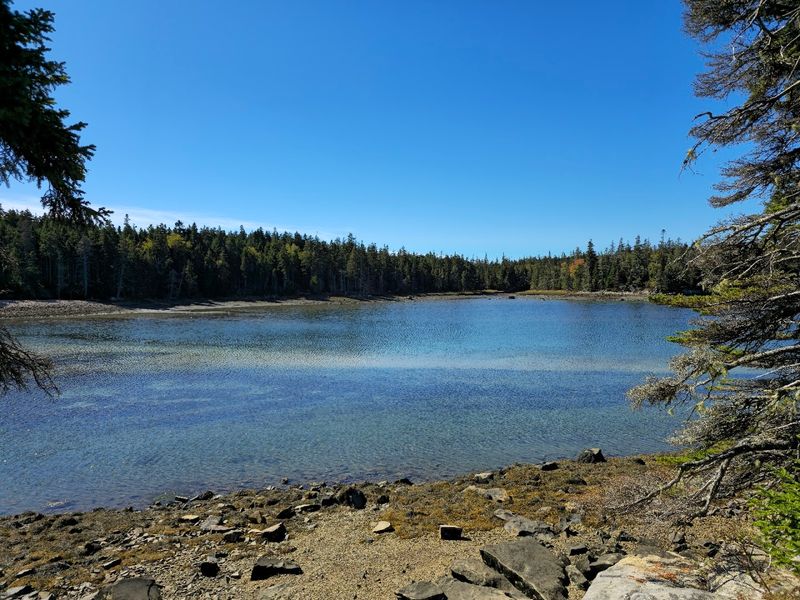A Hidden Gem For Birdwatching