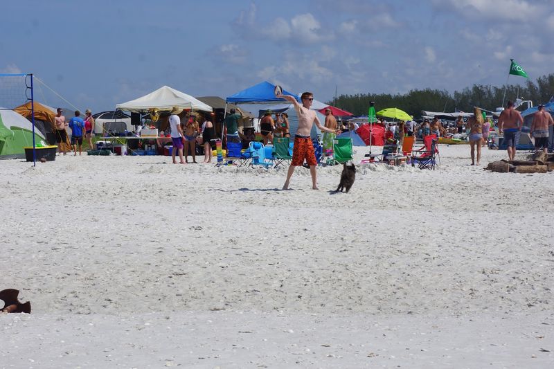 One of Florida's Most Welcoming Pet-Friendly Beaches One of Florida's Most Welcoming Pet-Friendly Beaches