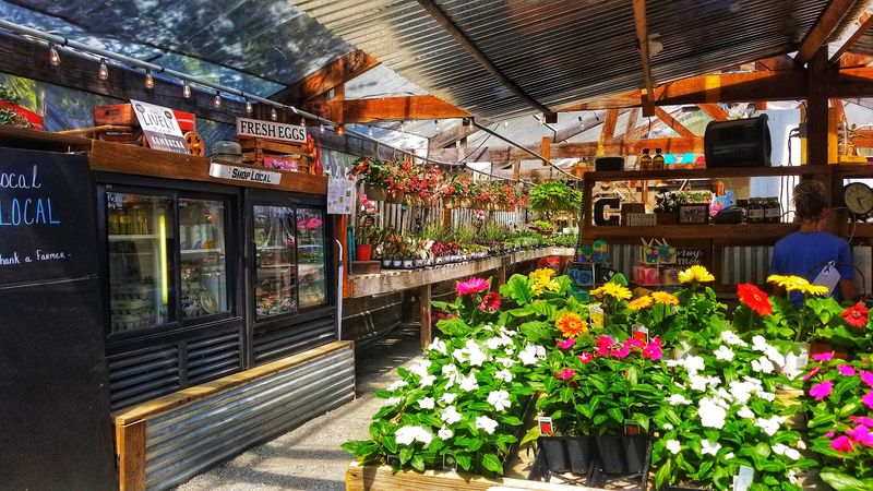 Open-Air Market Charm Under The Arkansas Sky