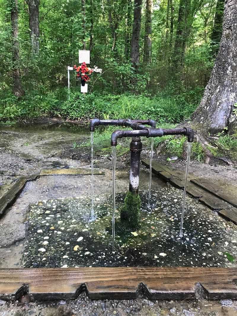 Taste That Stands Apart