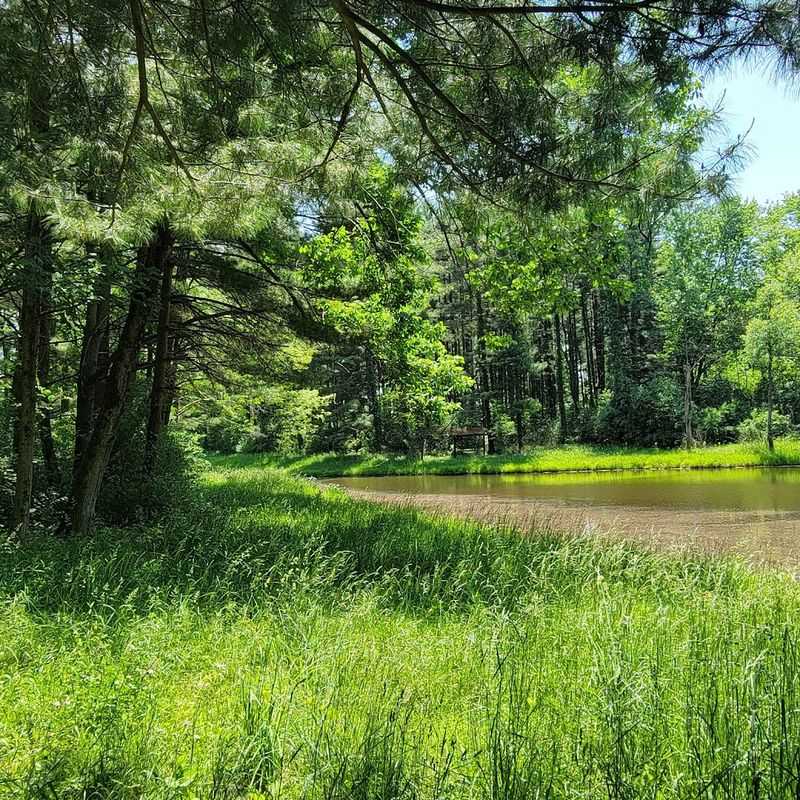 The Peaceful Atmosphere That Sets It Apart