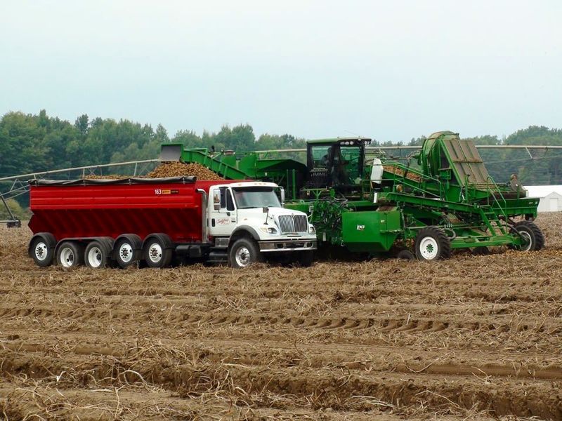 Open Farm Country