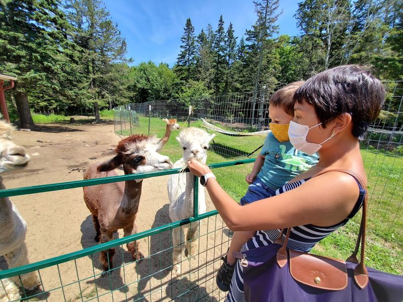 Open Farm Days And Community Events Open Farm Days And Community Events
