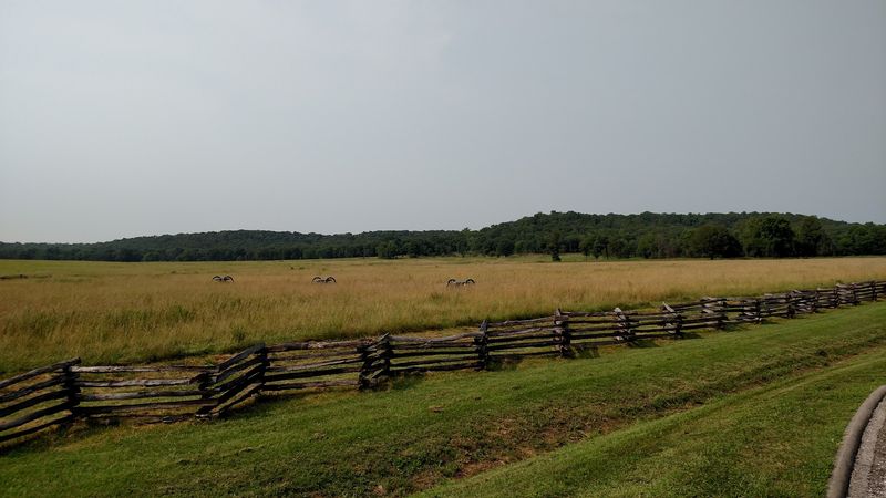 Open Meadows Beneath A Wide Arkansas Sky Open Meadows Beneath A Wide Arkansas Sky
