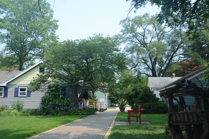 Free Admission and Easy Access