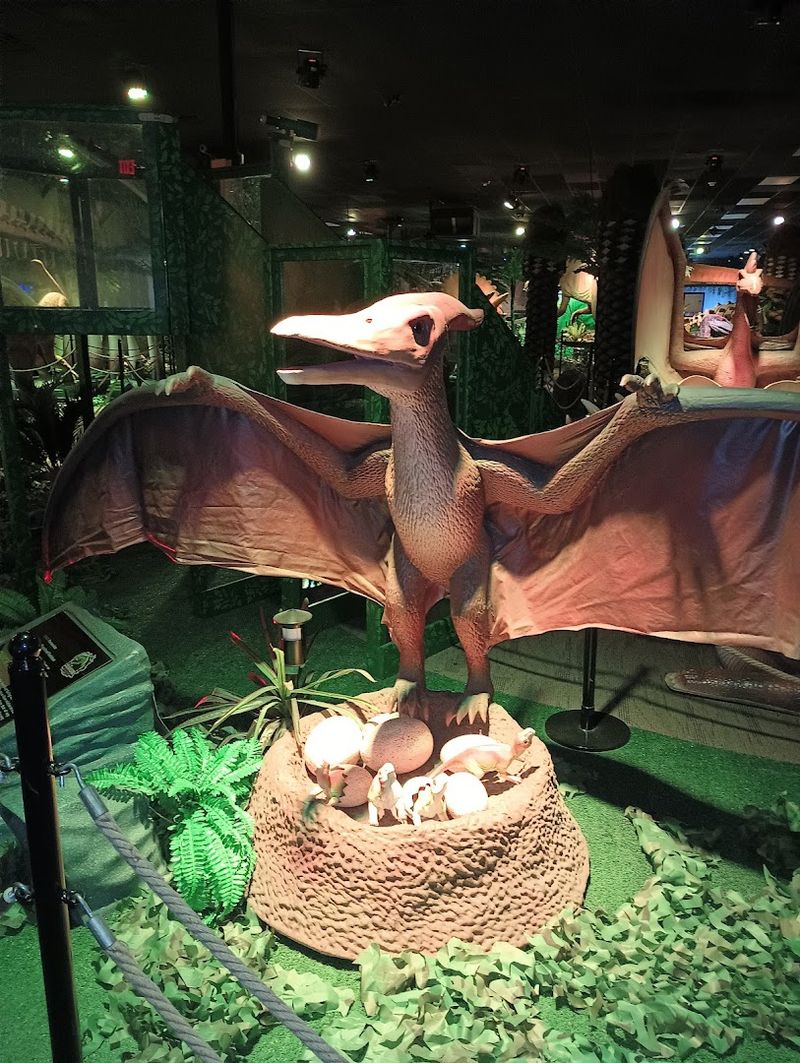 Educational Dinosaur Facts