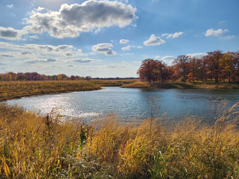 Fort Sheridan Forest Preserve, Fort Sheridan