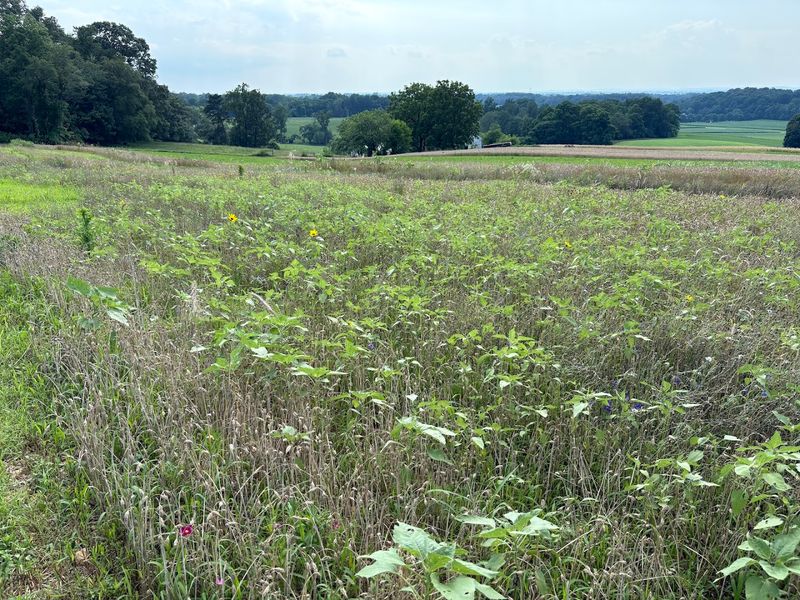 Off-Season Visits: Still Worth The Drive