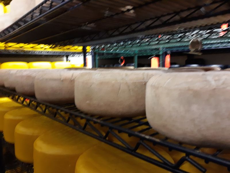 Shipping Brings Cheese To You