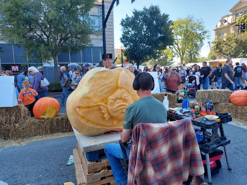 Operation Pumpkin, Hamilton