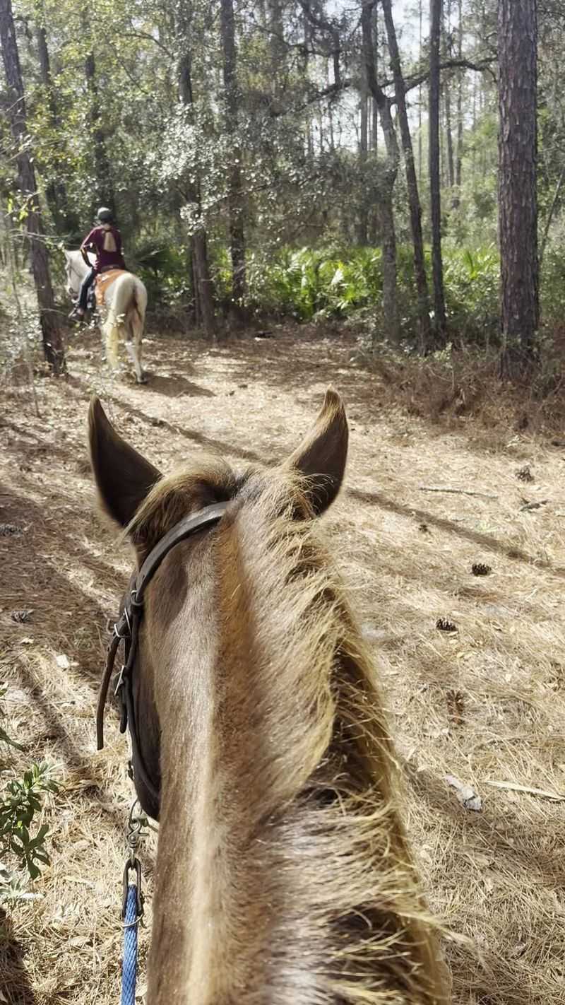 Orange Blossom Trail Rides, Dunnellon
