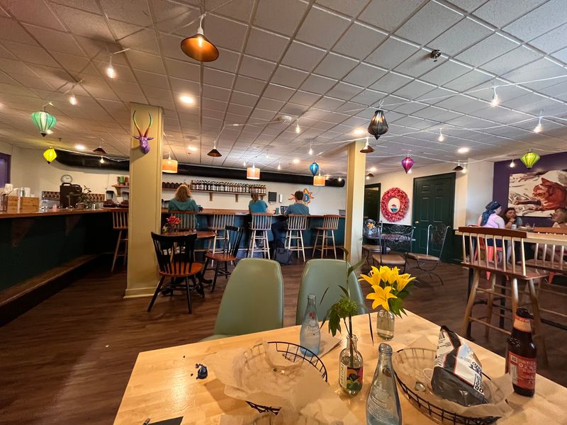 Orange Cat Cafe, Farmington