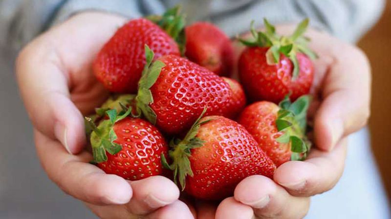 Strawberries: Ruby Jewels with Low Sugar Impact