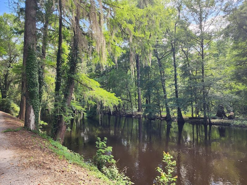 Orangeburg County's Hidden Treasure