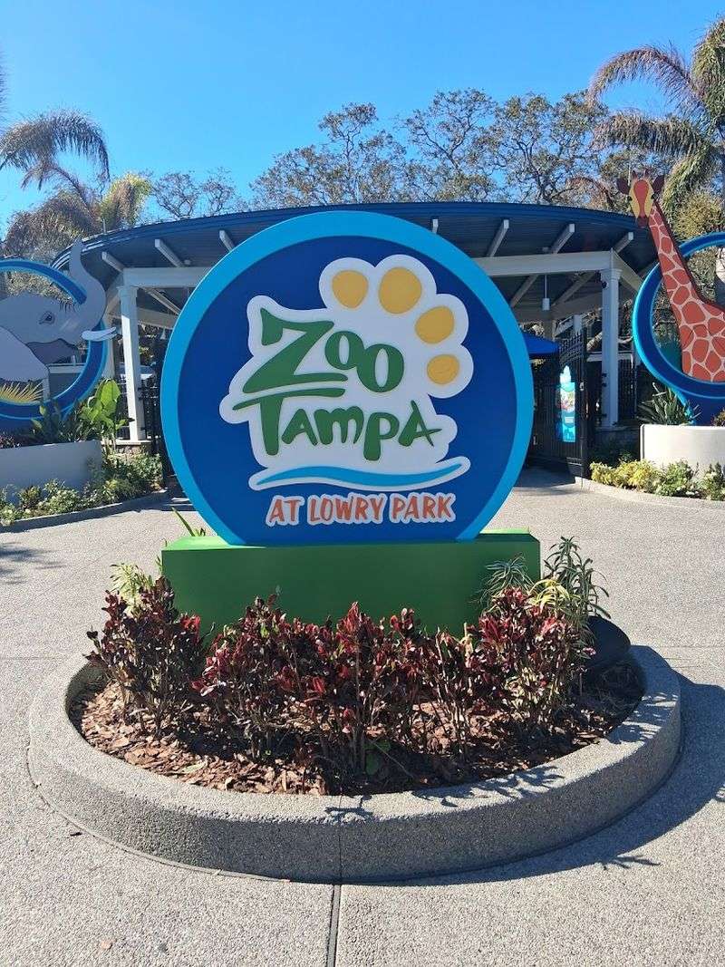 Rhino Feeding That Turns Conservation Into A Personal Moment