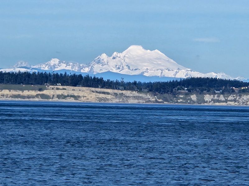 Orcas, Ferries, and Mount Baker Views