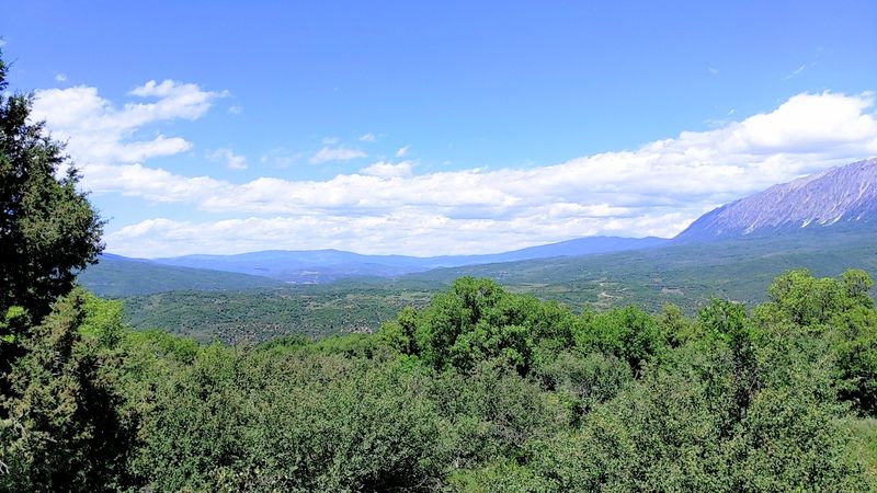 A Main Street That Moves at Your Speed