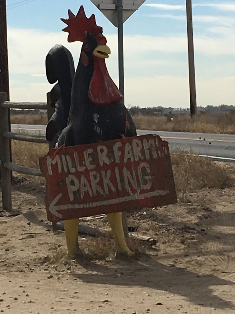 Miller Farms - Platteville, Colorado
